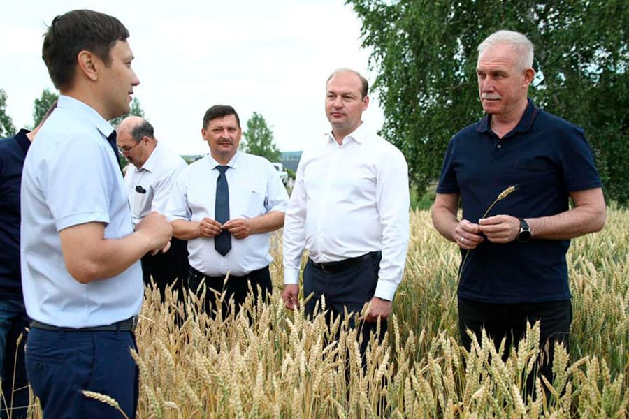 14.07 10:00 В Ульяновской области запустили пилотный проект по развитию сортоиспытательного дела в сельском хозяйстве