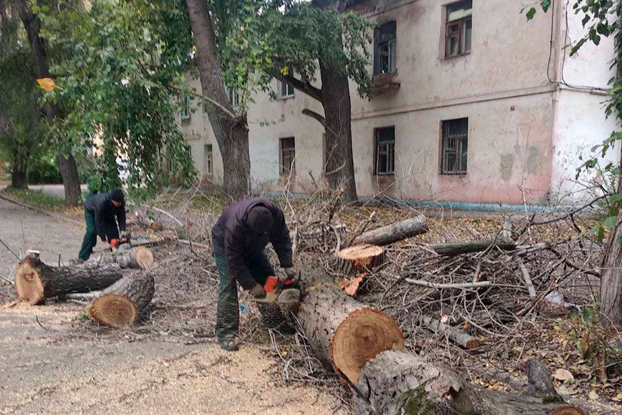 27.09 17:00 С улиц Ульяновска убрали ещё 83 аварийных дерева