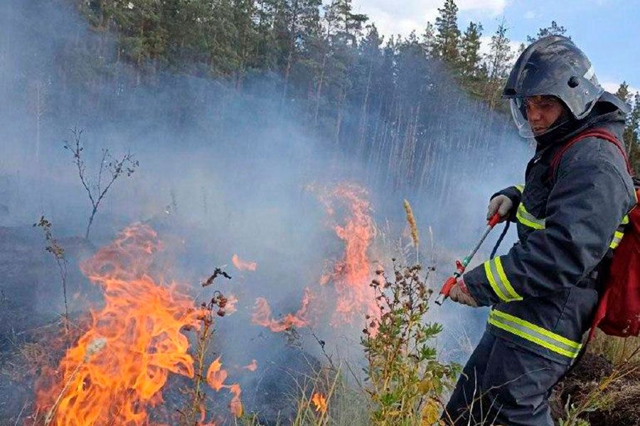 09.10 12:00 В Ульяновске подвели итоги весенне-летнего пожароопасного сезона