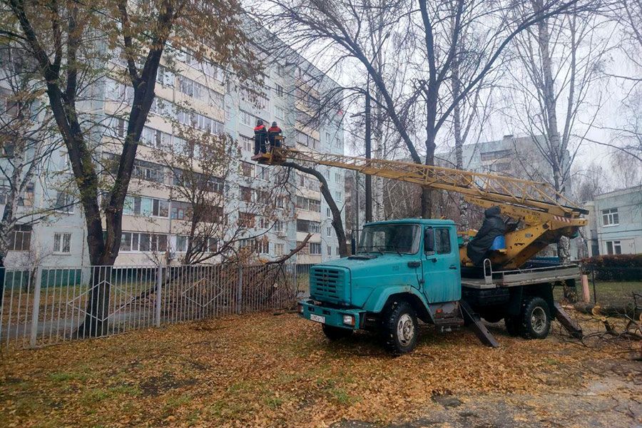 08.11 12:00 С 16 октября в Ульяновске спилено и обрезано более тысячи деревьев
