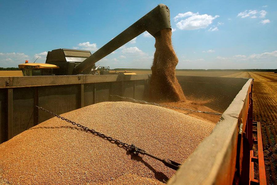 21.10 16:00 Аграрии Мелекесского района намолотили более 300 тысяч тонн зерна