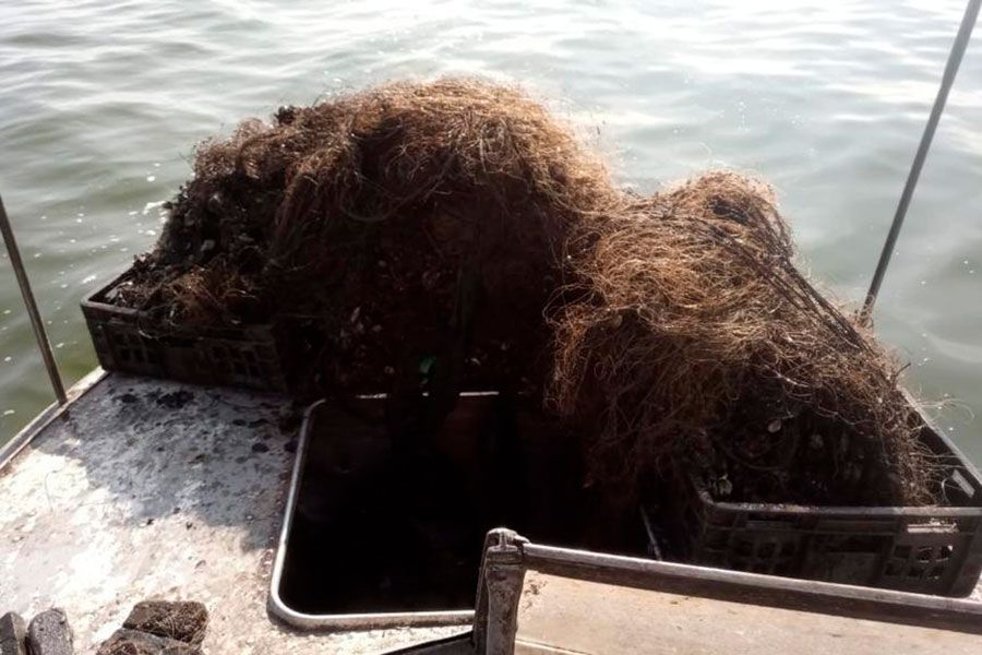 01.09 11:00 Из Черемшанского залива изъяли 217 рыболовных сетей