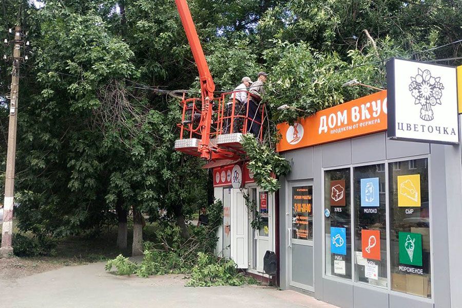 04.07 08:00 За прошлую неделю в Ульяновске снесли 58 аварийных деревьев