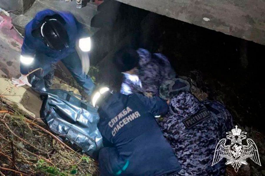 26.10 14:00 В Ульяновске сотрудники Росгвардии спасли мужчину, упавшего под мост