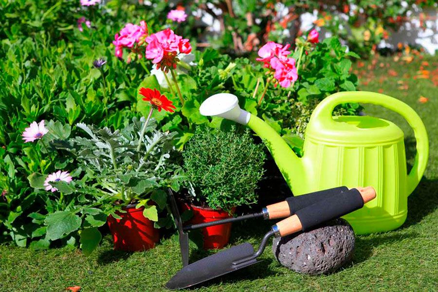30.04 09:00 С 1 мая в Ульяновске будет организовано транспортное обслуживание садоводов