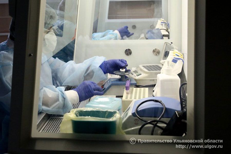 14.04 10:00 В Ульяновской области увеличат мощности лабораторий по выявлению коронавирусной инфекции