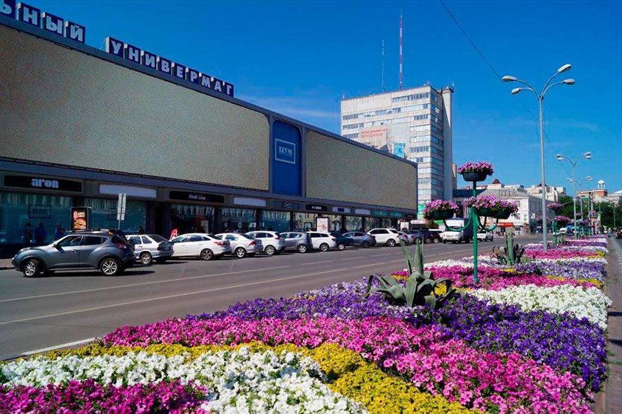 03.04 16:00 Более шести тысяч деревьев, кустарников и 180 цветников высадят в этом году в Ульяновске