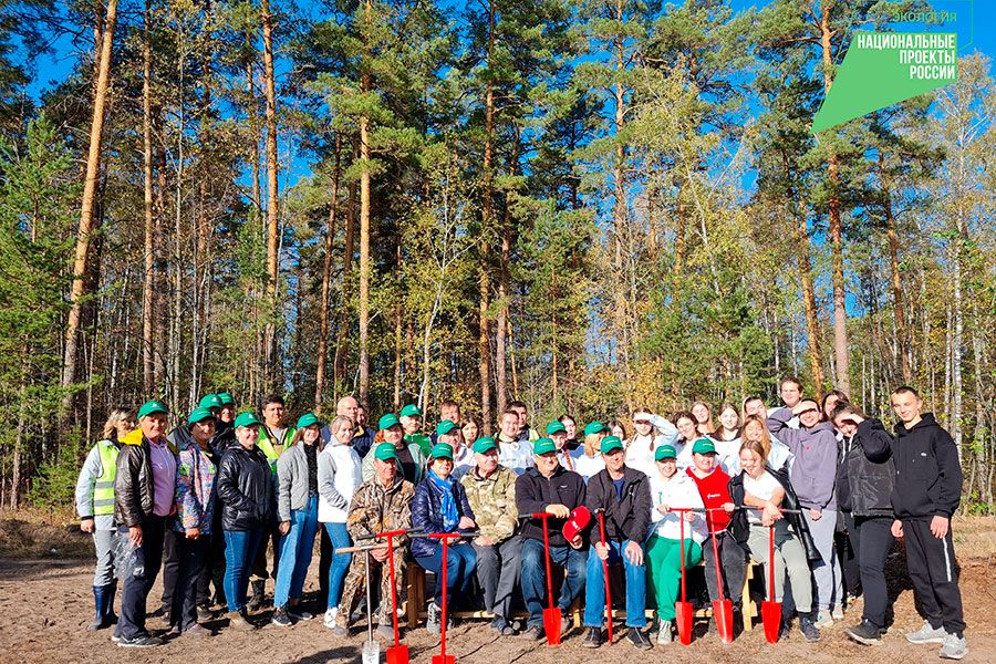 09.10 17:00 Около ста человек посадили будущий лес в Ульяновской области