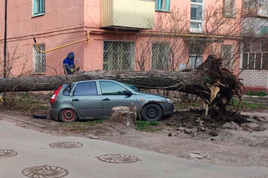 14.04 13:00 Ульяновские службы устраняют последствия сильного ветра
