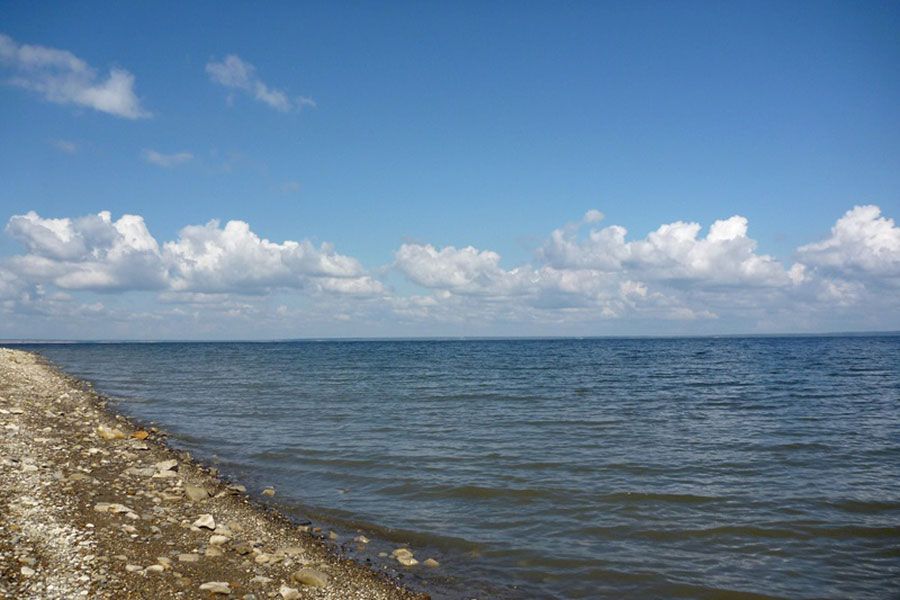 11.09 13:00 В Ульяновске экологический десант очистит берег Волги