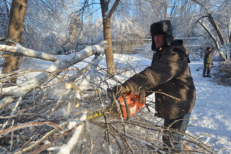 12.12 13:00 В Ульяновске за прошедшую неделю снесли 105 аварийных деревьев