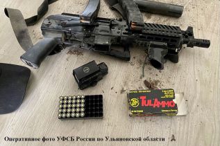 Житель Радищевского района осужден за незаконное хранение оружия