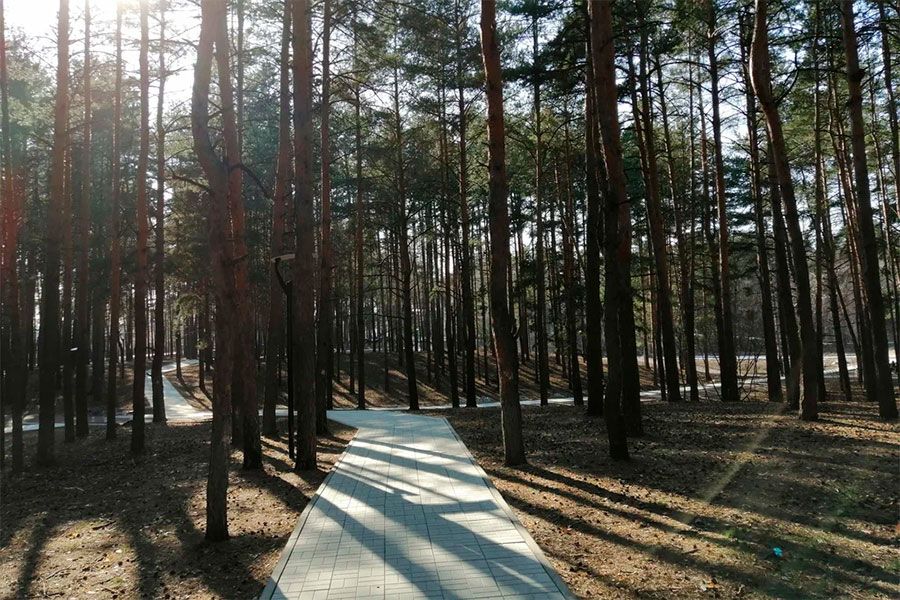 20.07 10:00 В Ульяновской области с начала 2022 года благоустроено шесть общественных пространств по нацпроекту «Жильё и городская среда»