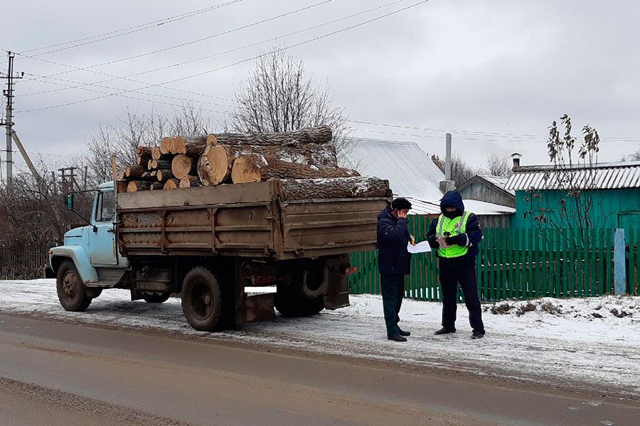 24.11 16:00 Во время акции «Лес» в Ульяновской области выявлено 8 незаконных рубок деревьев