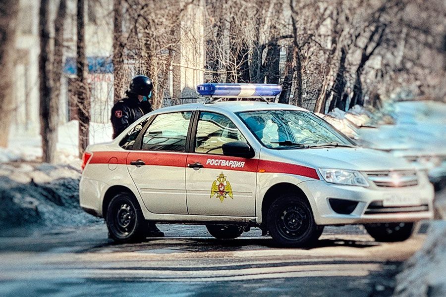13.12 12:00 В Ульяновской области сотрудники вневедомственной охраны задержали мужчину, подозреваемого в хищении алкоголя и потасовке с сотрудниками магазина