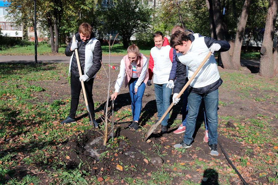 03.10 14:00 В Ульяновске этой осенью высадят более семи тысяч деревьев и кустарников