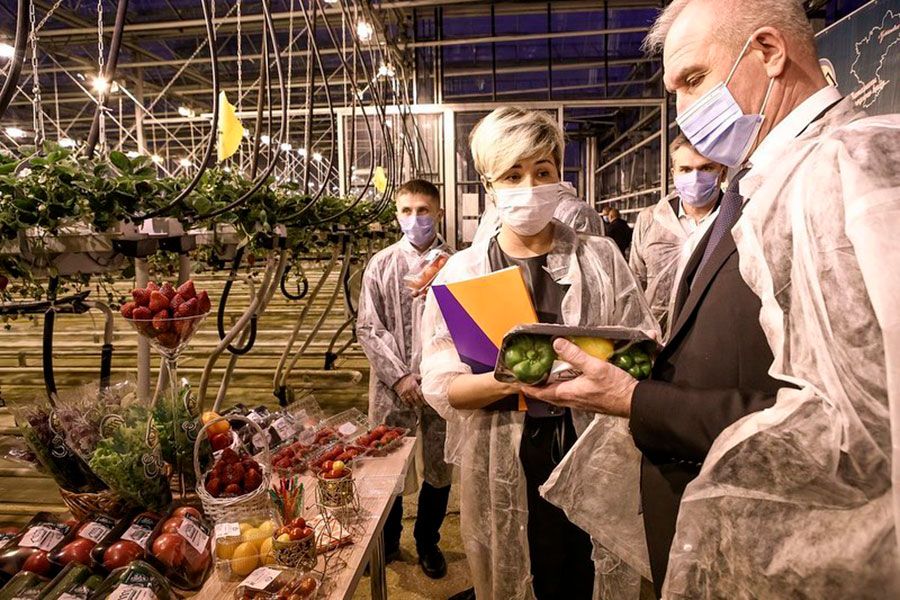 06.11 10:00 В Ульяновской области АО «Тепличное» за время работы вырастило для населения около полумиллиона тонн овощей