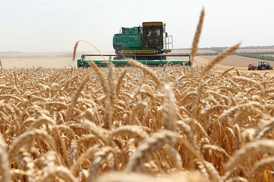 14.09 17:00 В Ульяновской области зерновые и зернобобовые культуры убраны с 98% площади