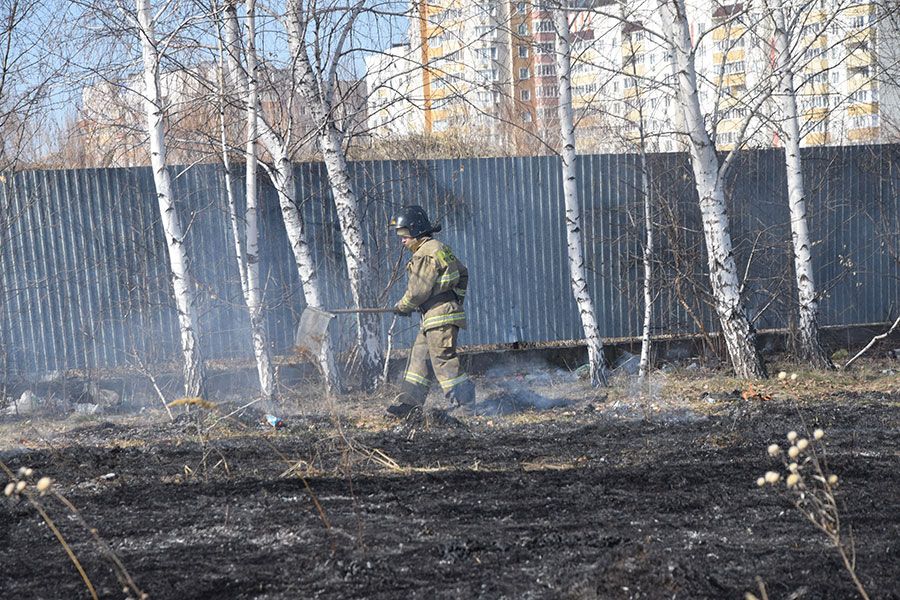 23.04 12:00 За понедельник в Ульяновске сгорело 29 гектаров травы