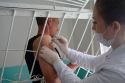 В Ульяновской области начали вакцинировать заключенных