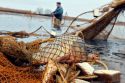 Ульяновских браконьеров предупредили о высоких штрафах и конкретных «посадках»