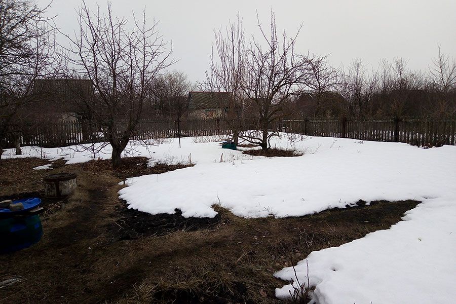 28.03 08:00 Ульяновск готовится к садоводческому сезону