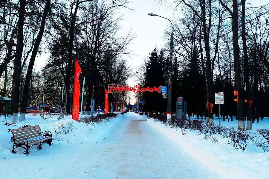 05.02 13:00 В ульяновских парках «Победы» и «Семья» обследуют деревья