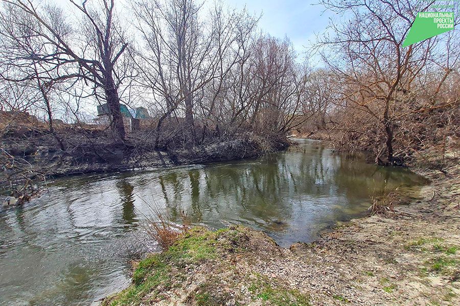 13.12 11:00 В Ульяновской области идёт подготовка к расчистке реки Сельдь