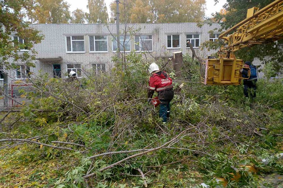 04.10 16:00 В Ульяновске спилили 132 аварийных дерева