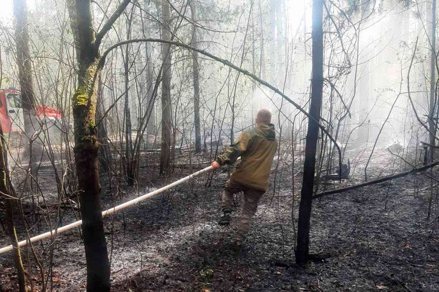 12.05 16:00 За майские праздники ликвидировали 9 лесных пожаров