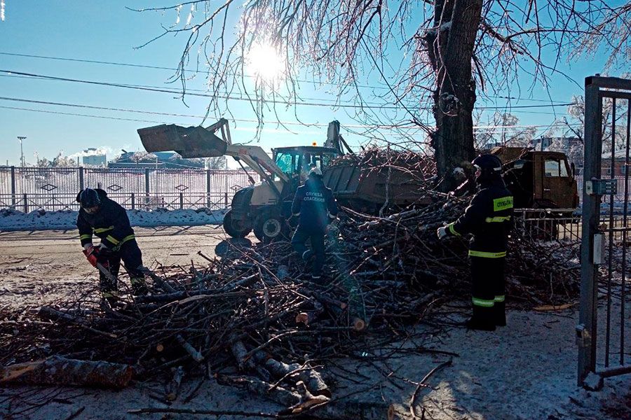 30.11 15:00 Городские службы Ульяновска обработали порядка 650 пострадавших от ледяного дождя деревьев