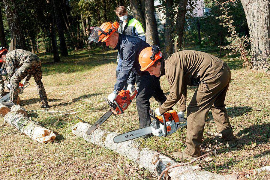 18.05 13:00 В ходе субботника в Ульяновской области ликвидировали 204 аварийных дерева