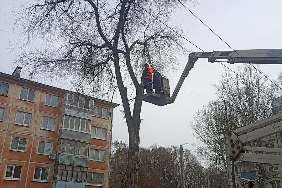 18.04 08:00 За неделю в Ульяновске снесли 167 аварийных деревьев
