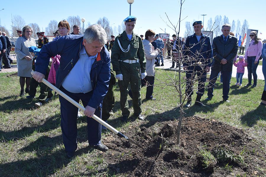 26.04 16:00 В Ульяновске в парке имени Василия Маргелова высадили деревья в память о погибших военнослужащих