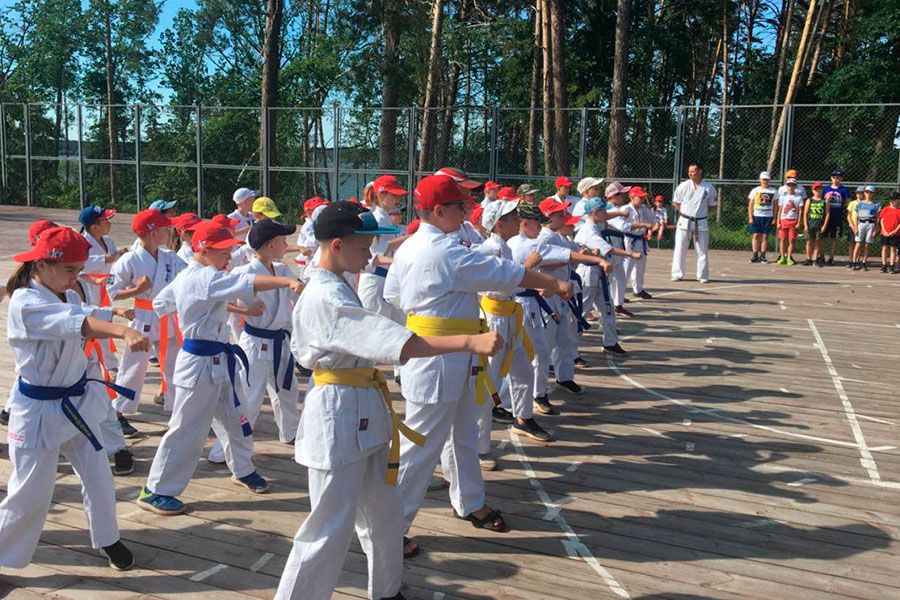 05.06 17:00 В Ульяновском лагере «Ласточка» стартовала первая смена