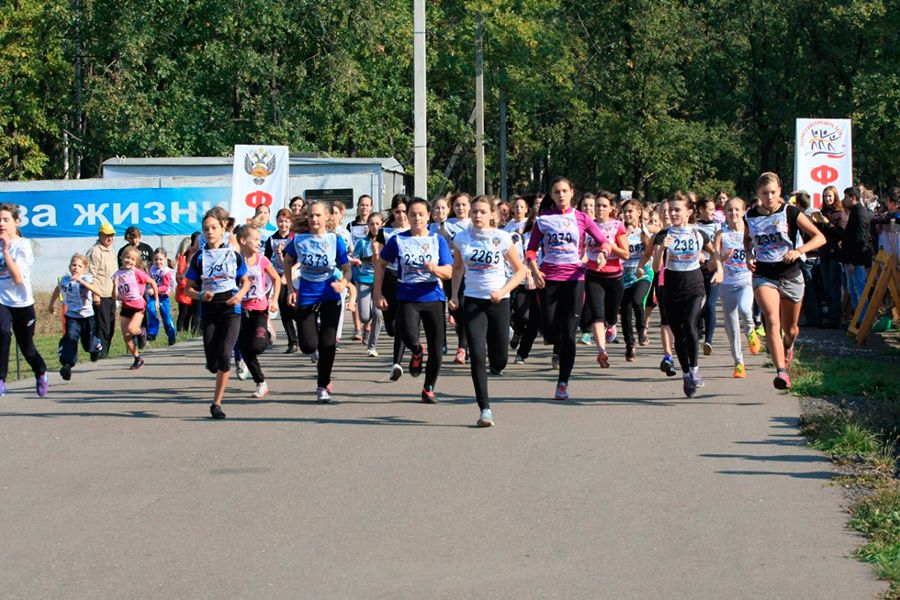 23.09 11:00 Участниками «Кросса нации» в «Ульяновске стали более 1000 человек