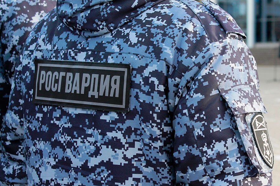 29.12 12:00 В Ульяновской области сотрудники Росгвардии задержали подозреваемых в совершении кражи из продуктового магазина