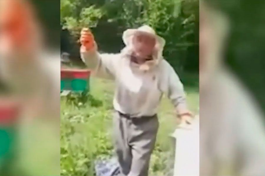 Житель Канашского района возмущен массовой гибелью пчел