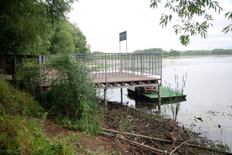 16.07 11:00 Разработан план экологической реабилитации реки Свияга в Ульяновске