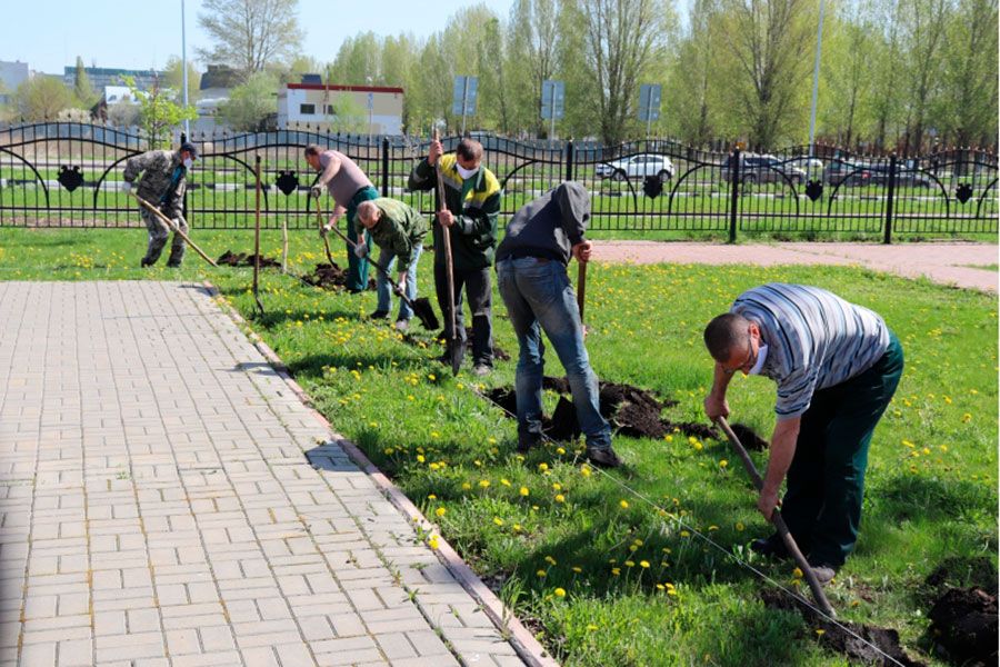 15.05 10:00 Более двух тысяч деревьев и кустарников высадили в Ульяновске по проектам «Лес Победы» и «Сад памяти»