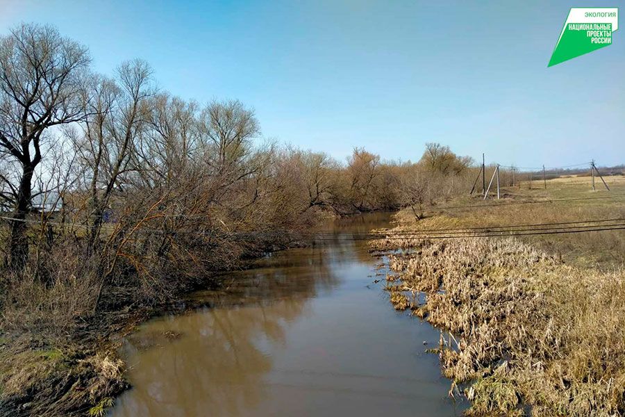 07.04 17:00 Федеральные эксперты обследовали три реки Ульяновской области для расчистки