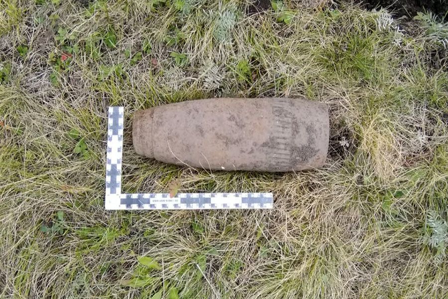 11.10 13:00 Ульяновские росгвардейцы обследовали снаряды, обнаруженные в лесном массиве