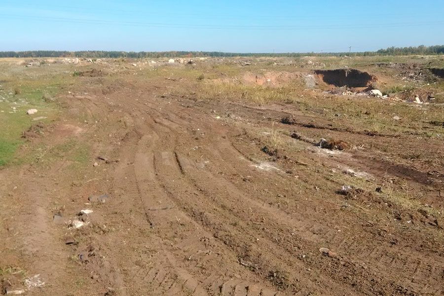 03.10 09:00 Ликвидирована несанкционированная свалка в Чердаклинском районе