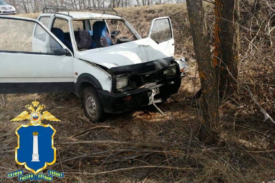13.04 12:00 ДТП в Мелекесском районе, водитель без прав наехал на дерево