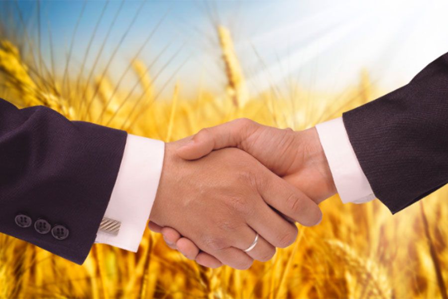 30.12 09:00 В 2019 году в Ульяновской области создано 22 сельскохозяйственных потребительских кооператива