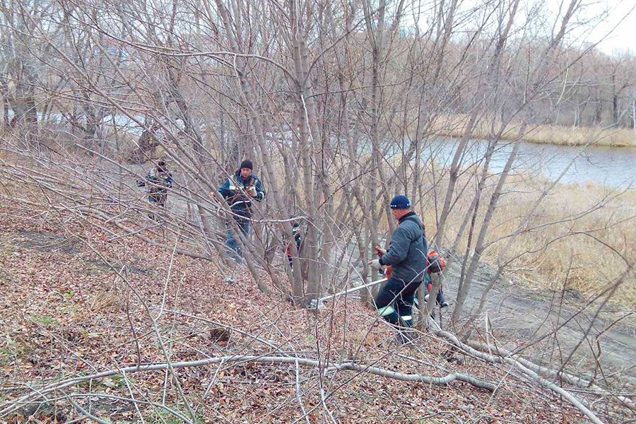 13.11 10:00 На территории памятника природы Чёрное озеро убирают аварийные деревья