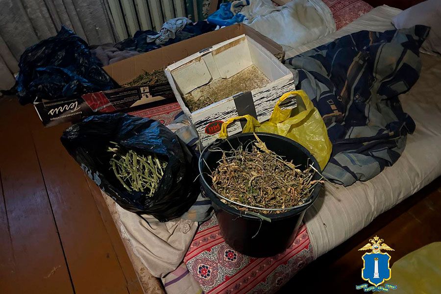 10.01 15:00 В Новомалыклинском районе полицейские задержали подозреваемого в незаконном обороте наркотических средств