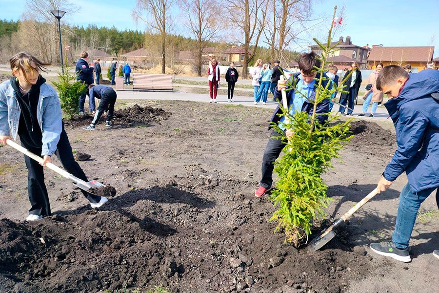 11.09 17:00 В Ульяновске высадят 635 деревьев и 1000 кустарников