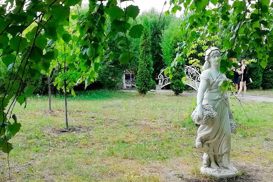 19.06 14:00 В Ульяновской области разрабатывается закон об охране и защите зелёных насаждений