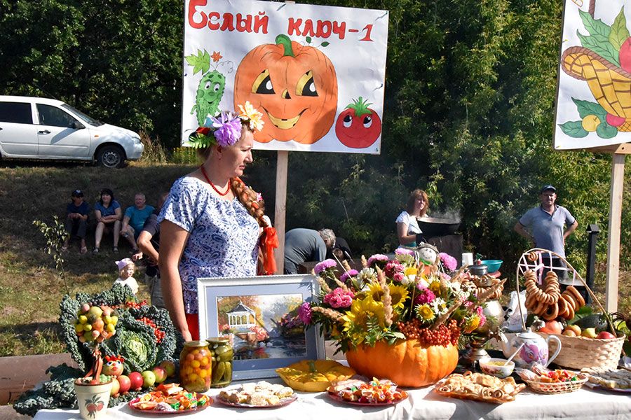 29.08 09:00 Ульяновские садоводы провели праздник урожая